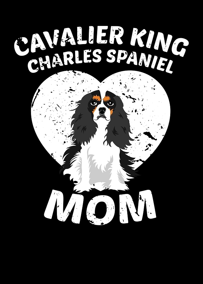 Cavalier King Charles