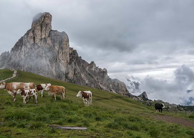Dolomites 49 Italy