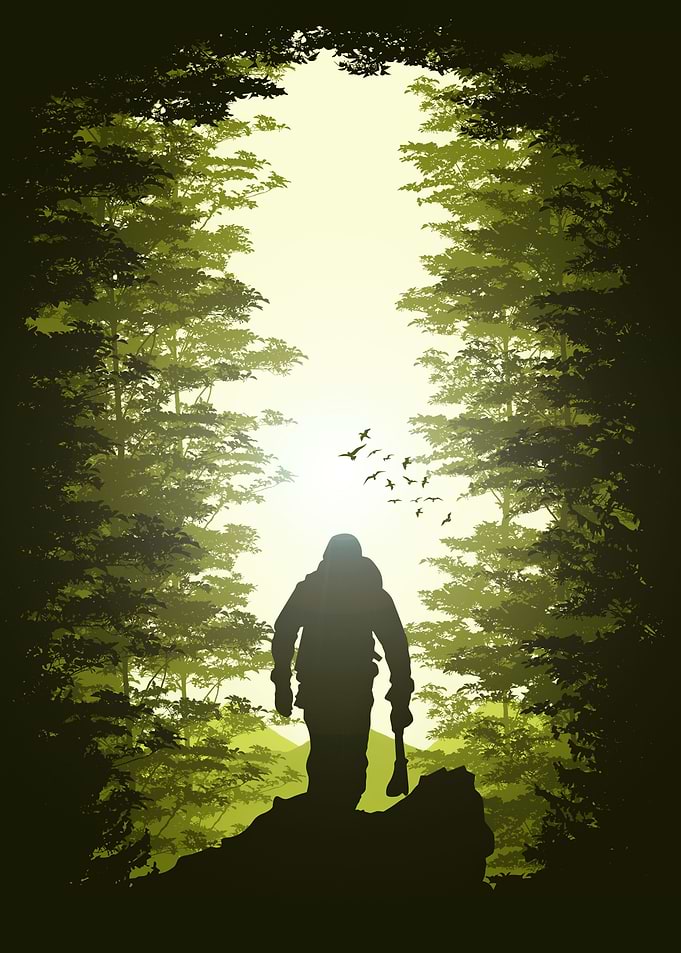Forest