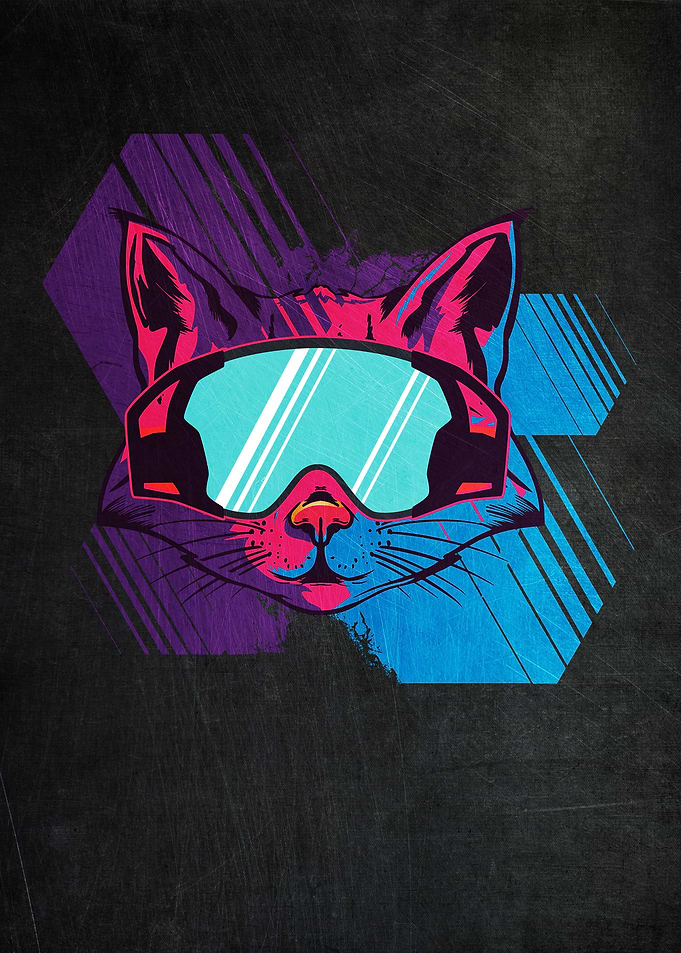 Snowboarding Cat