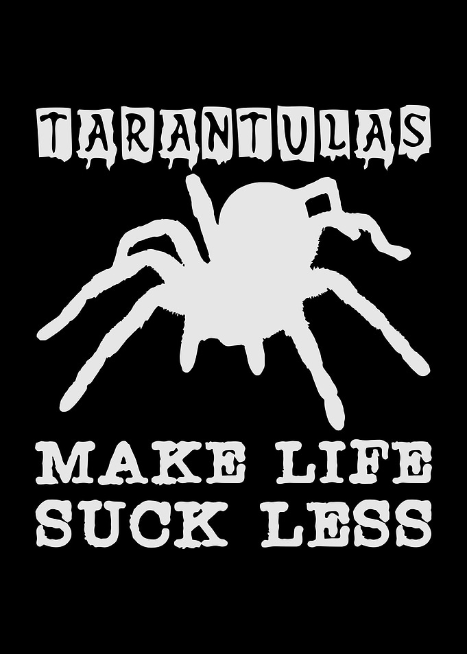 Tarantulas Saying Spiders