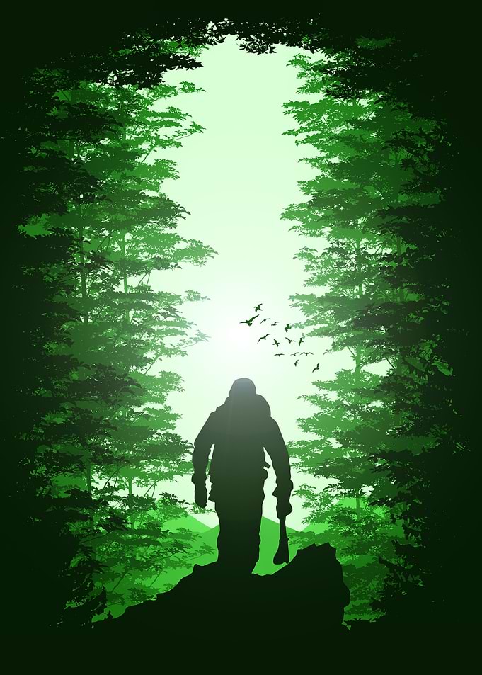 Forest