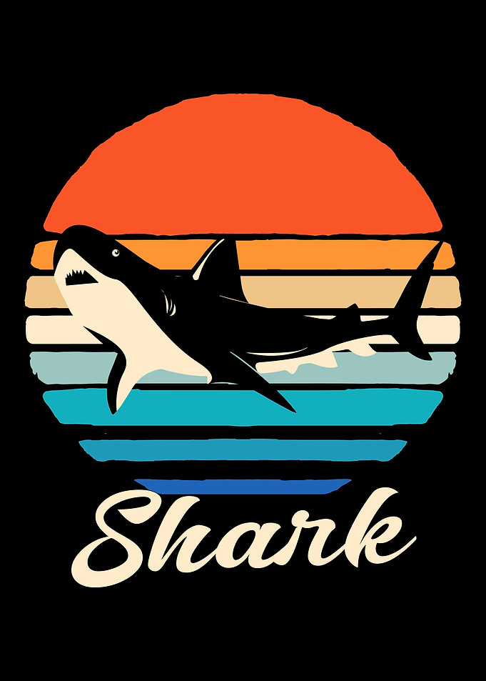 Shark Retro Colorful