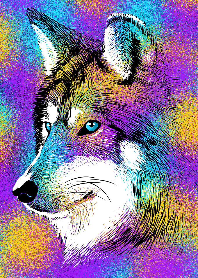 Sketch Wolf Rainbow