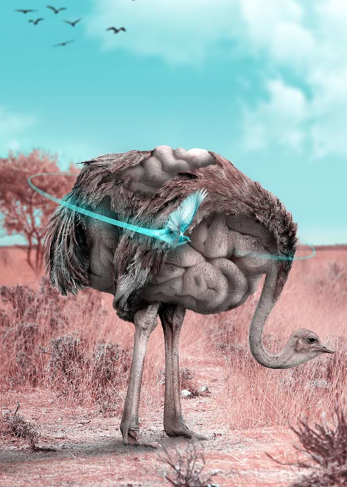 Complexity
