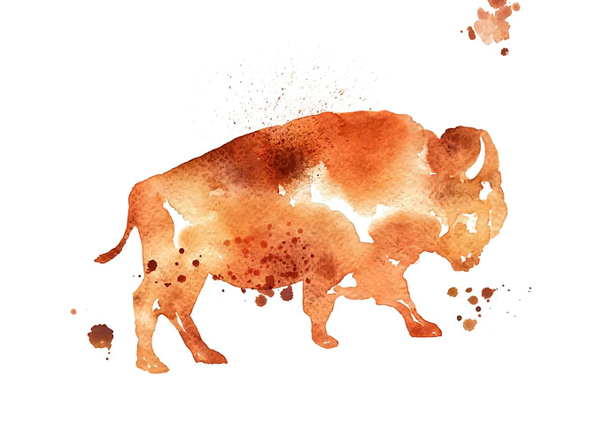Buffalo
