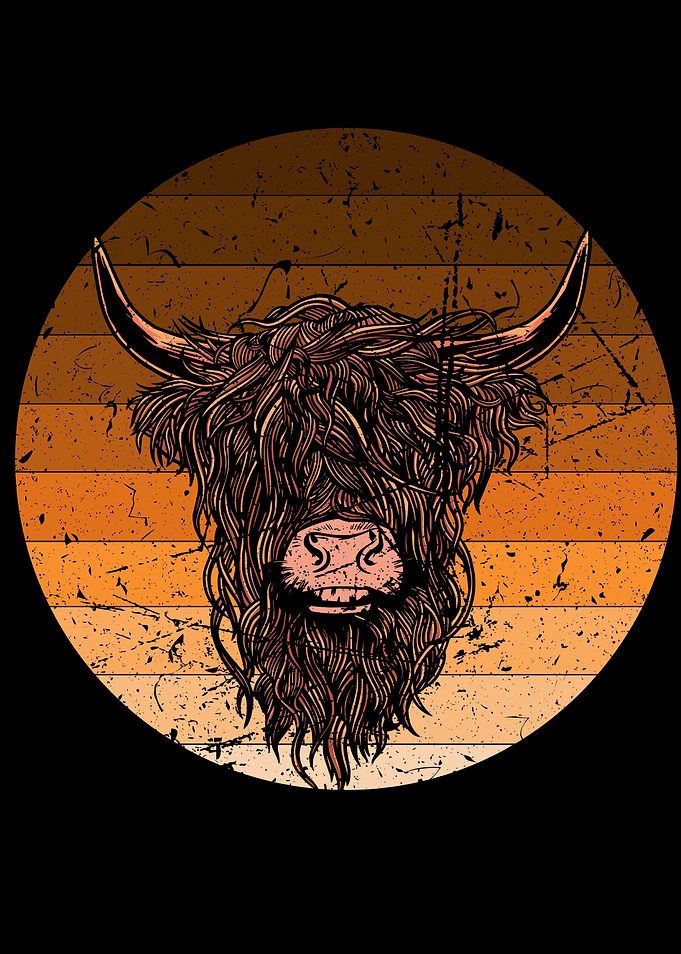 Scottish Highland Cattle