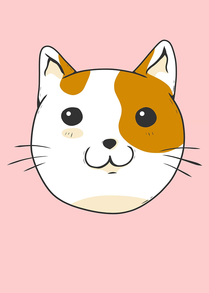 Cat Head Funny Kitty Cat
