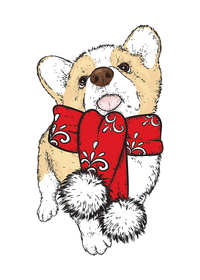 happy christmas Dogs