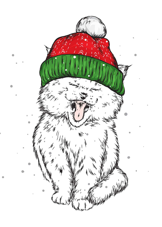 Happy christmas Cats
