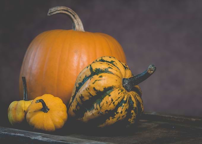 pumpkins