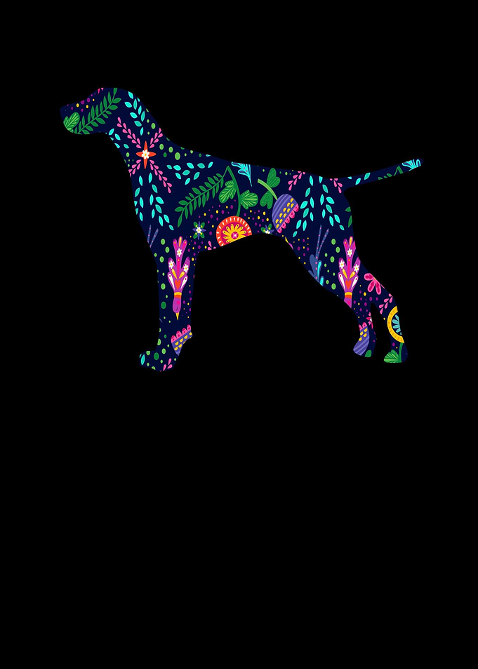 German Shorthair Pointer