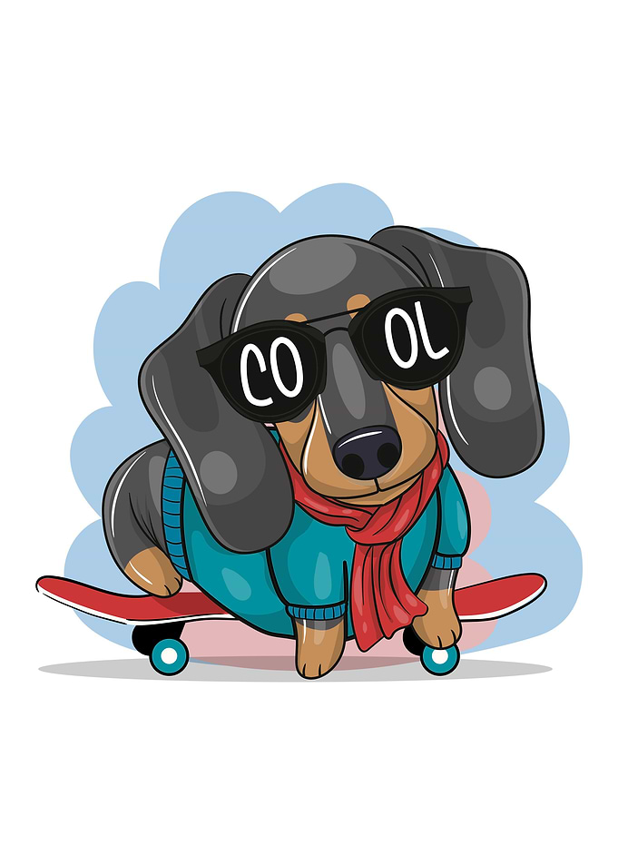 Dachshund