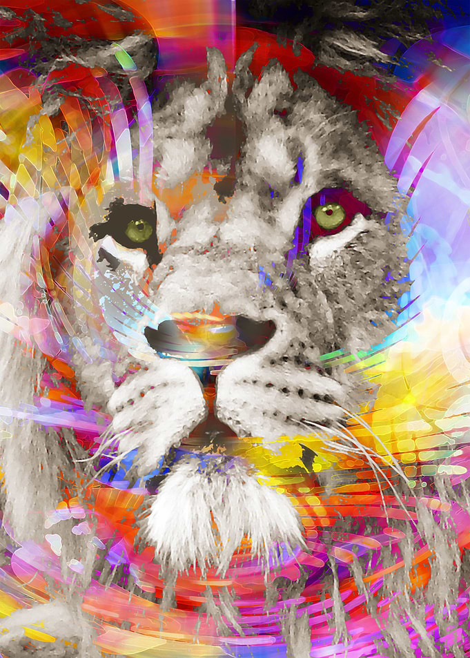 Rainbow King