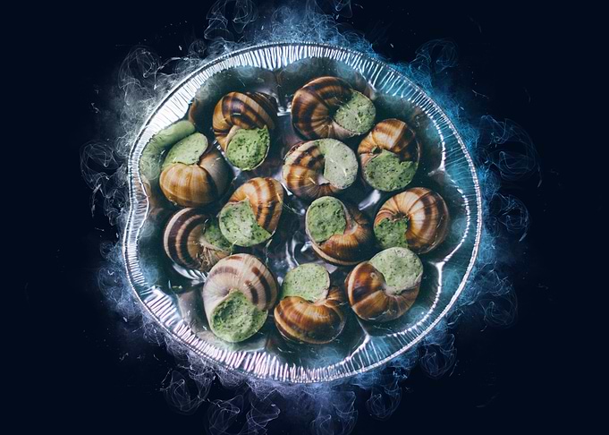 snails smoke