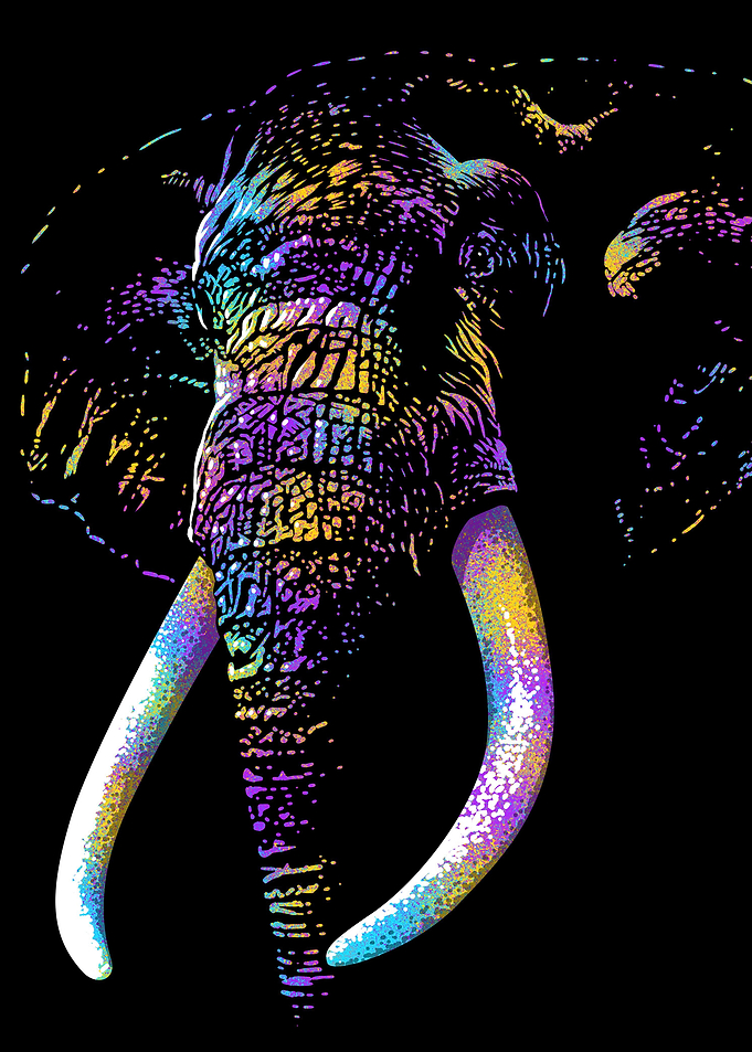 Artistic Colorful African