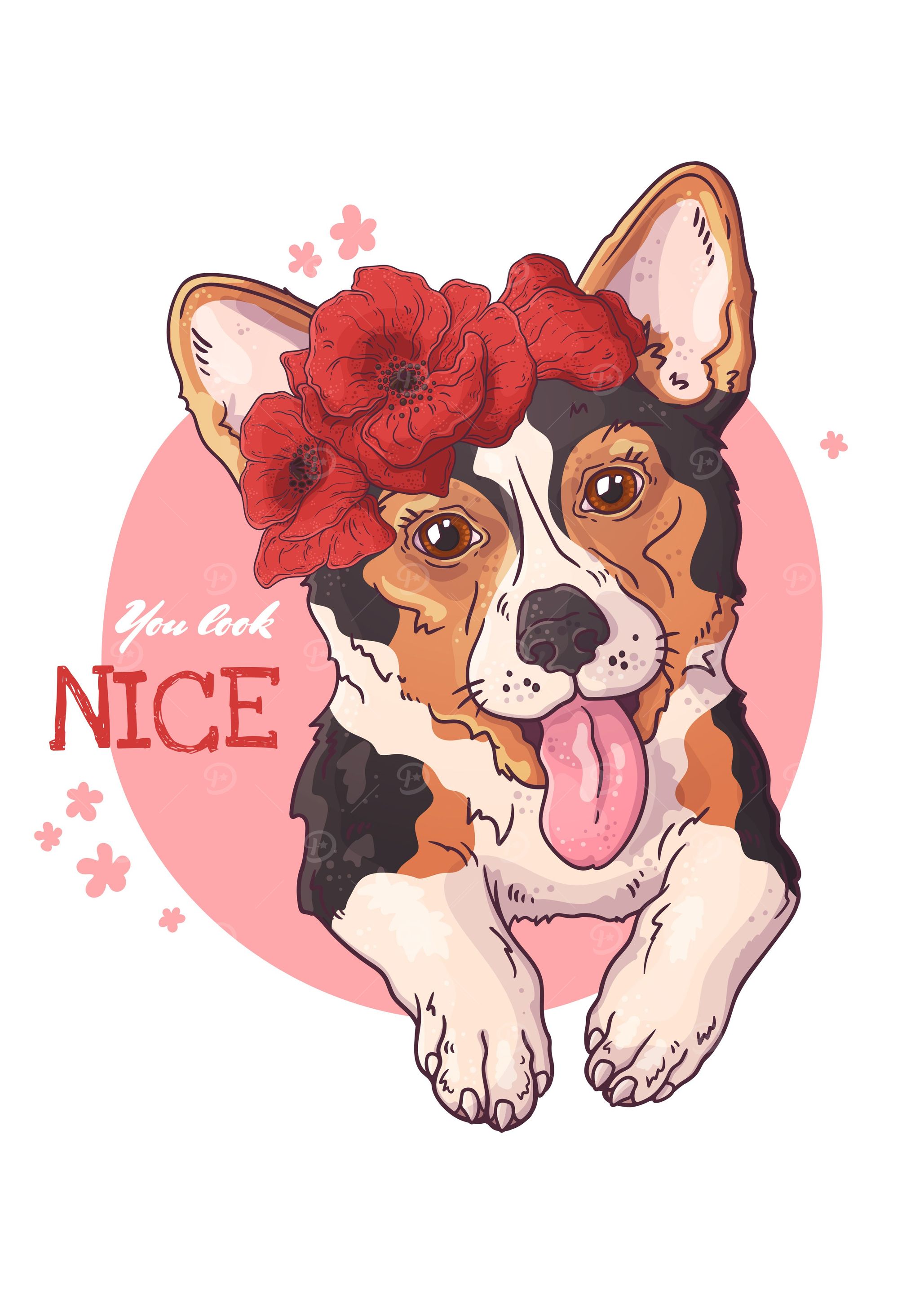 Corgi