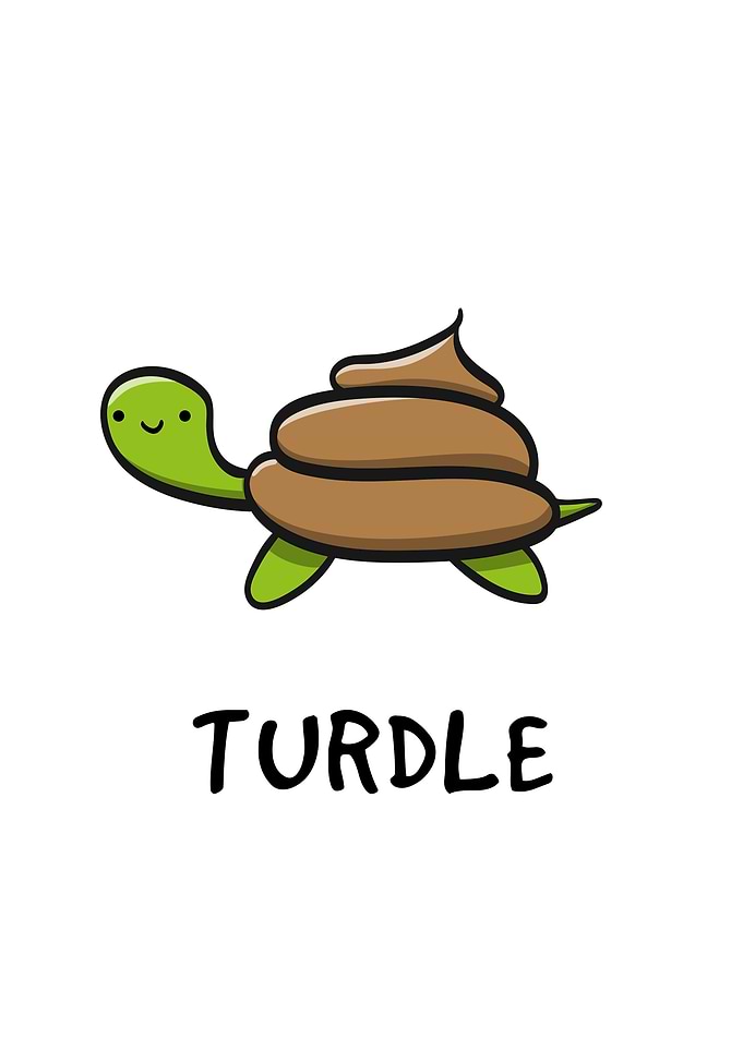 Turdle