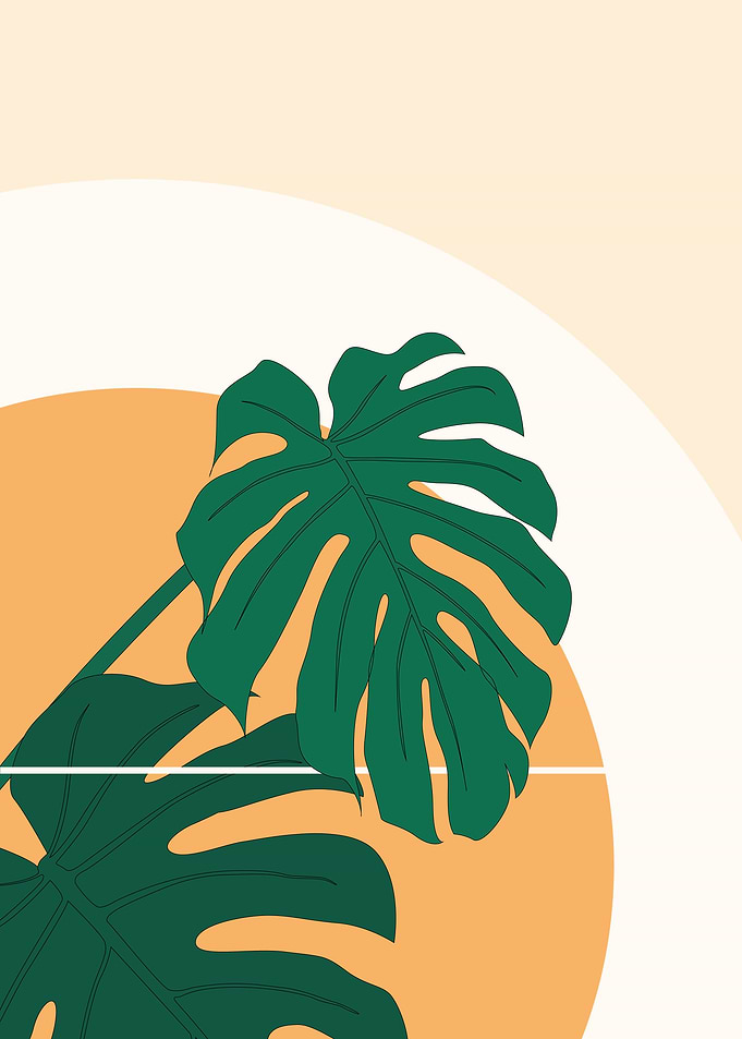 Monstera Leaves