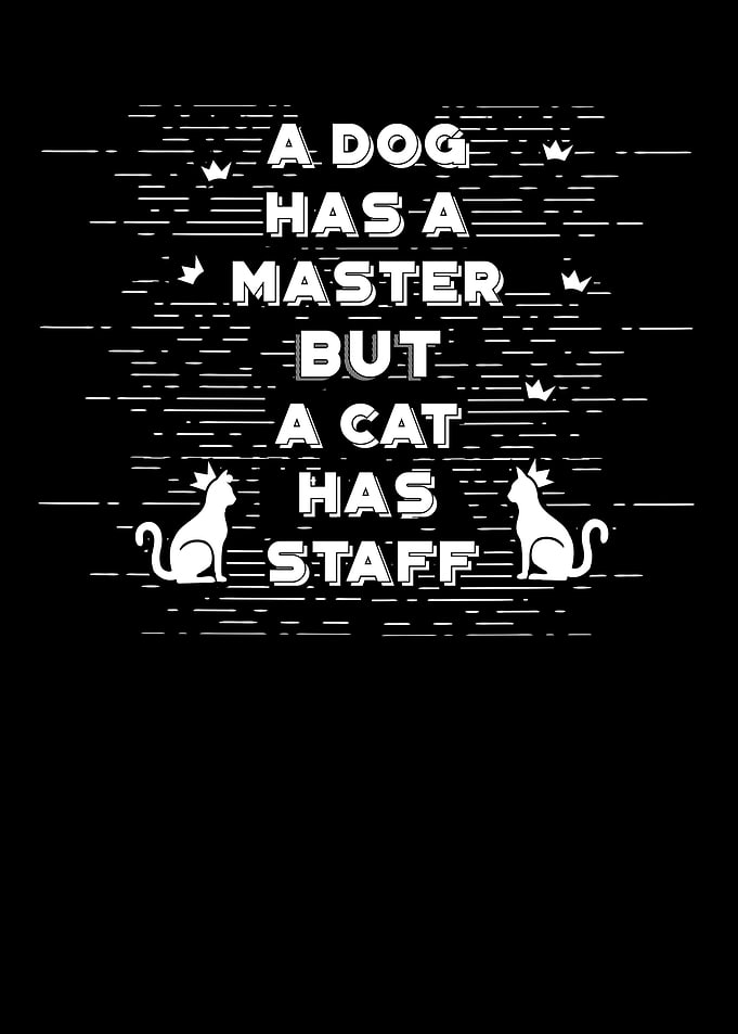 A cat has staff