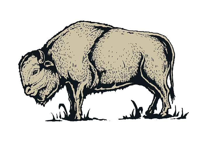 Buffalo