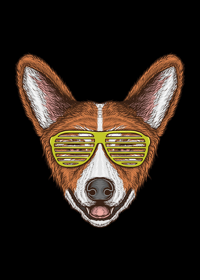 Corgi