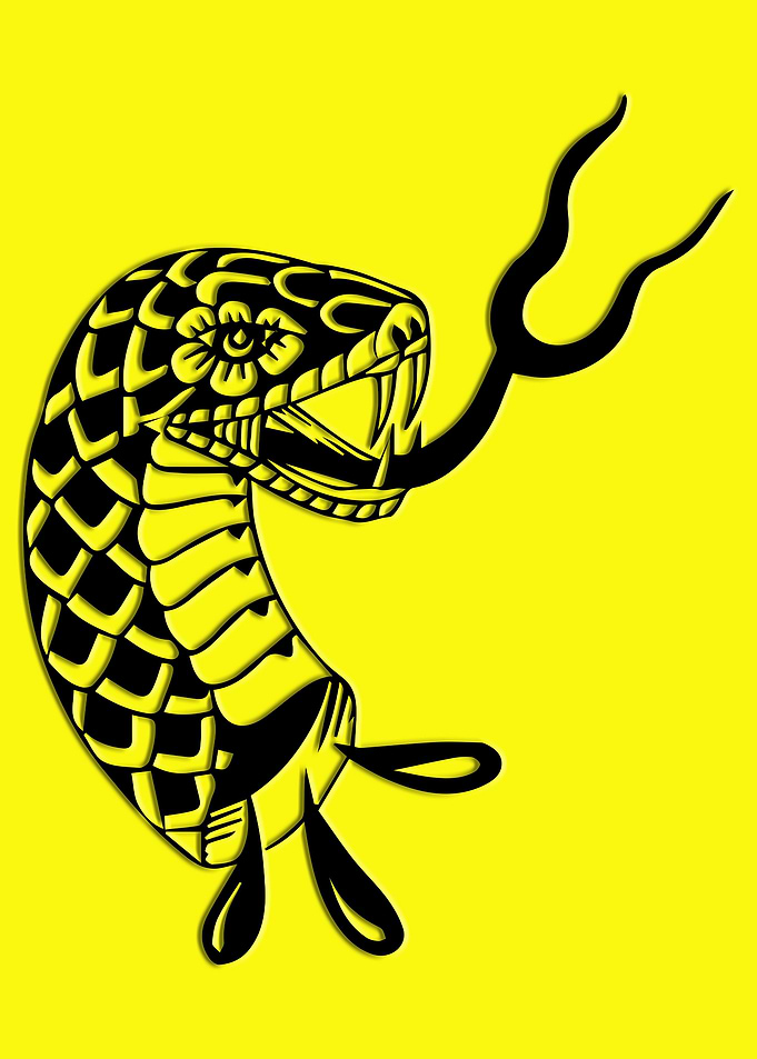 SKETCH SNAKE HEAD