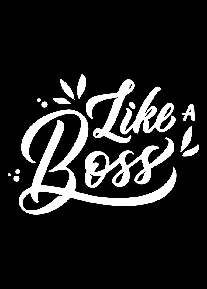 Like a Boss