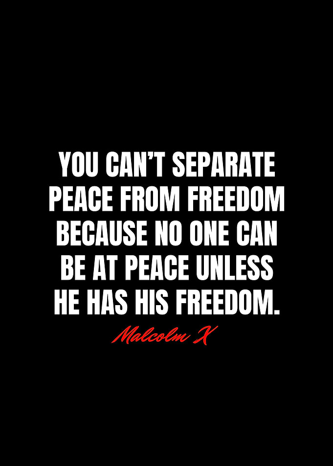 Malcolm X Quotes