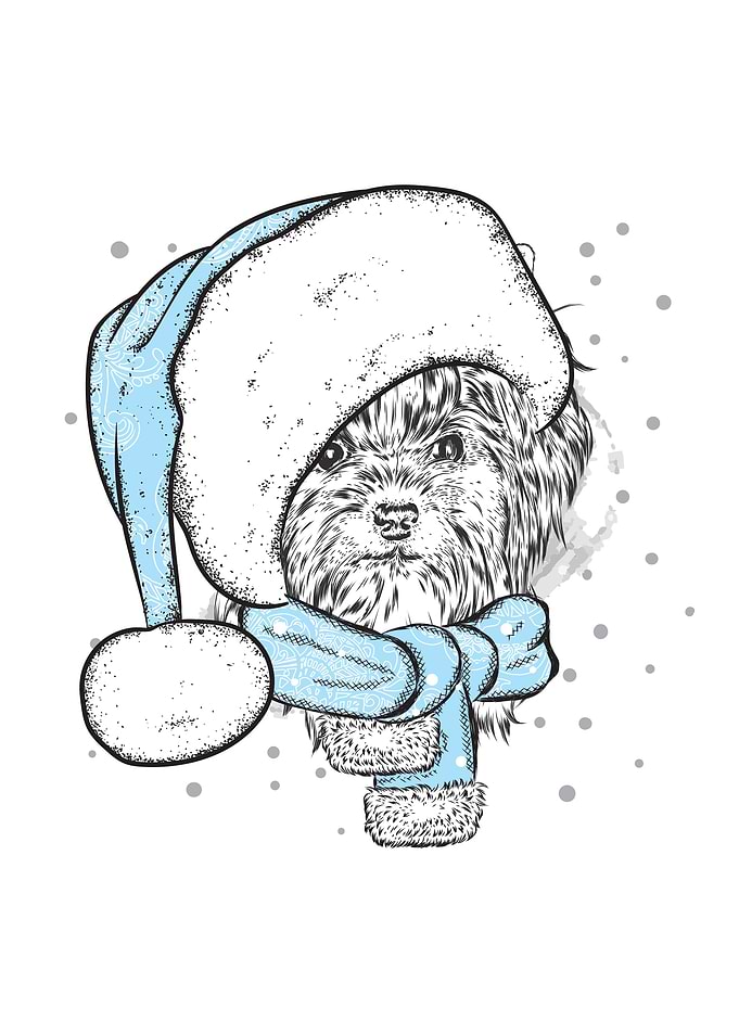 happy christmas Dogs