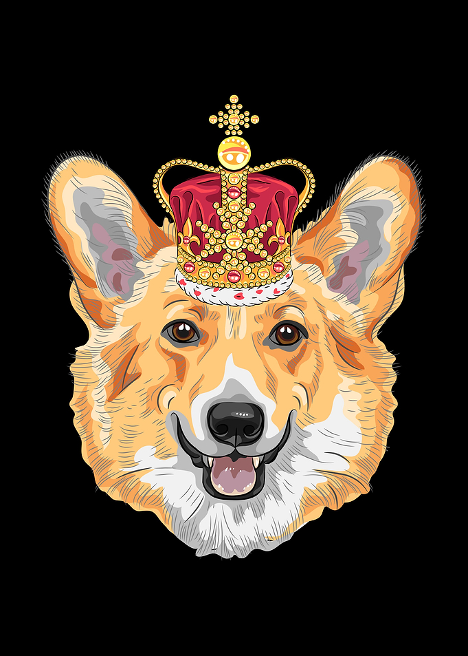 Corgi