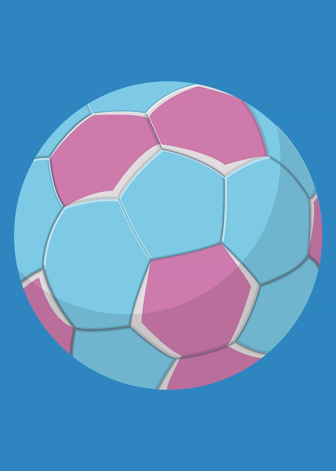 Volleyball Ball