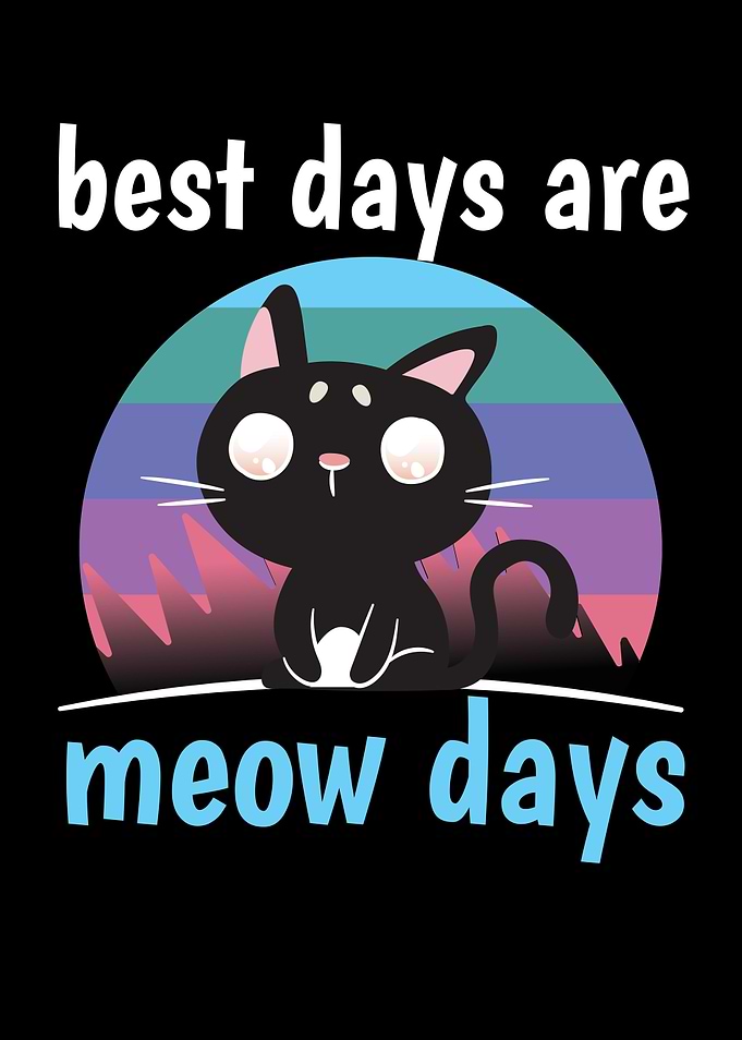 Not A Day Without My Cat