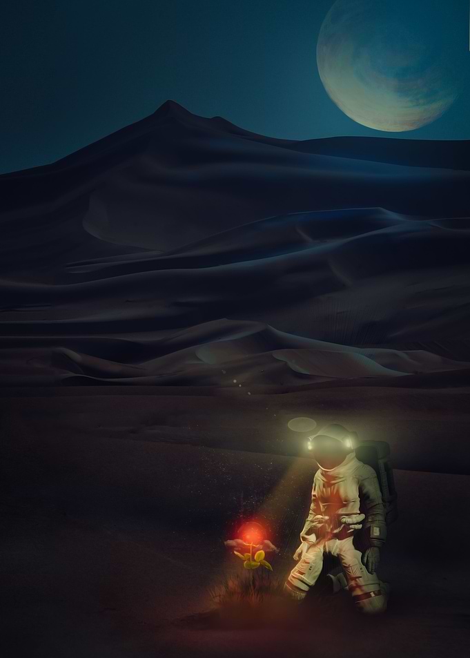 Flower Desert