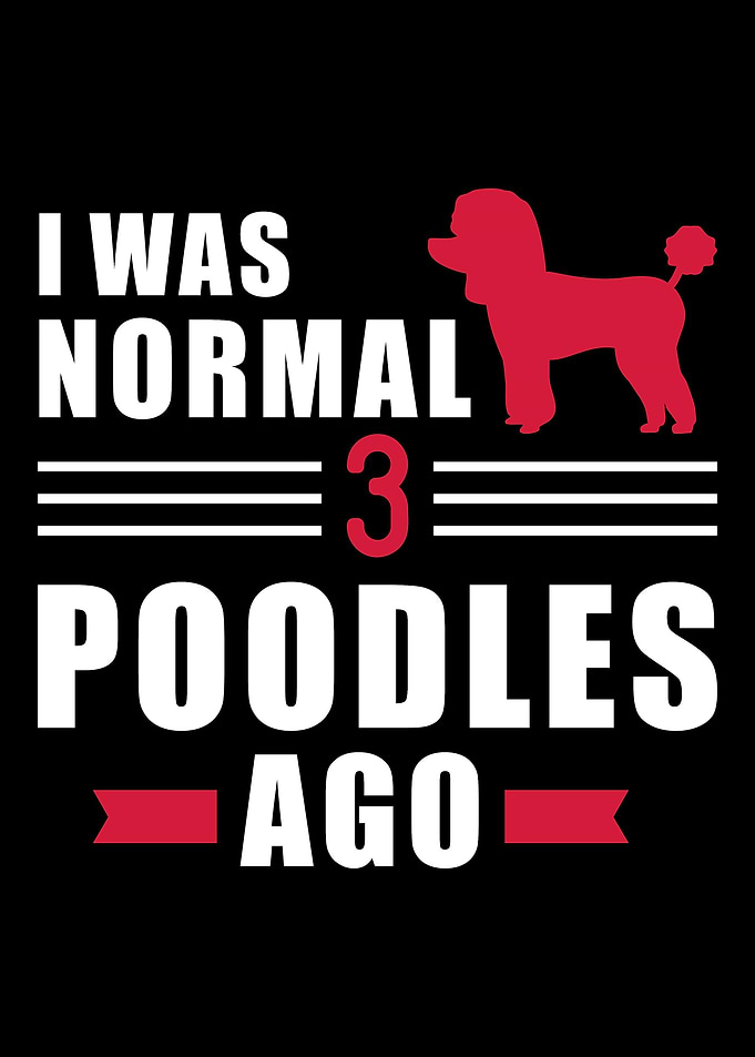 Poodle