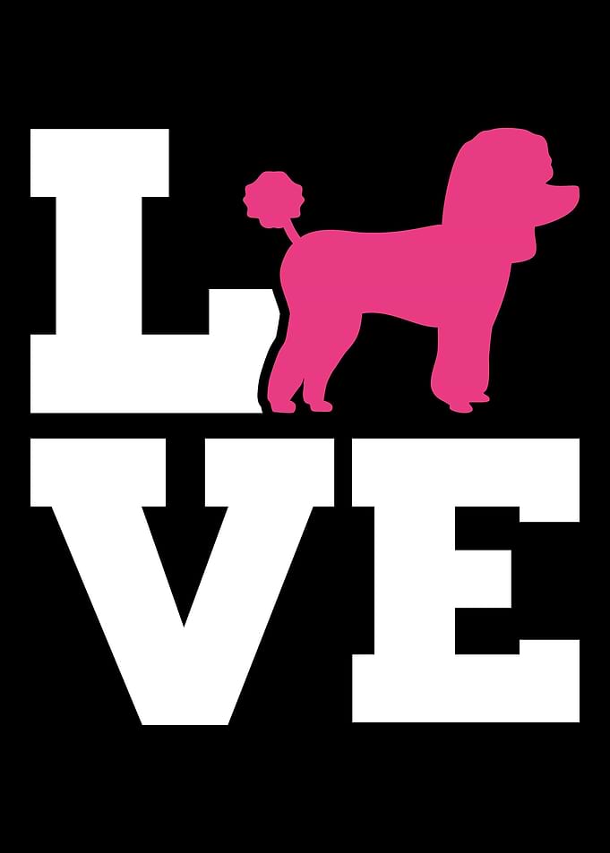 Poodle