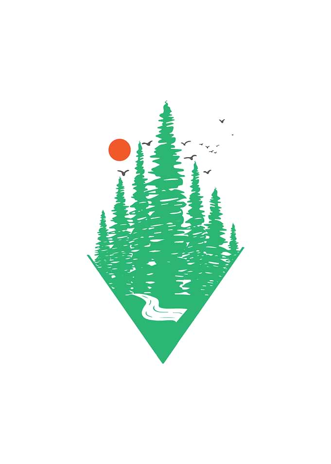 To The Forest Behind The