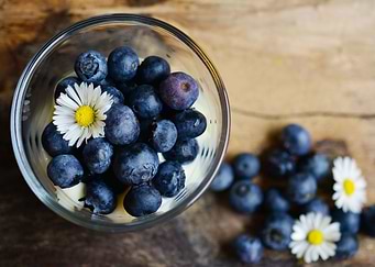 Blueberries Poster