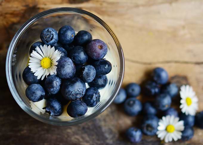 Blueberries Poster