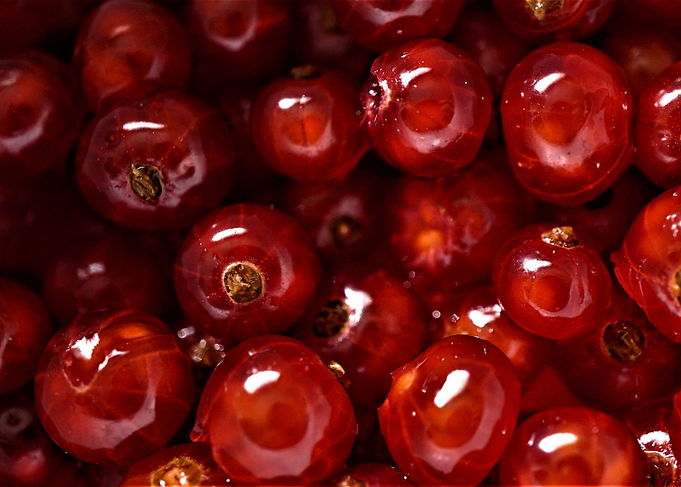 Currants Poster