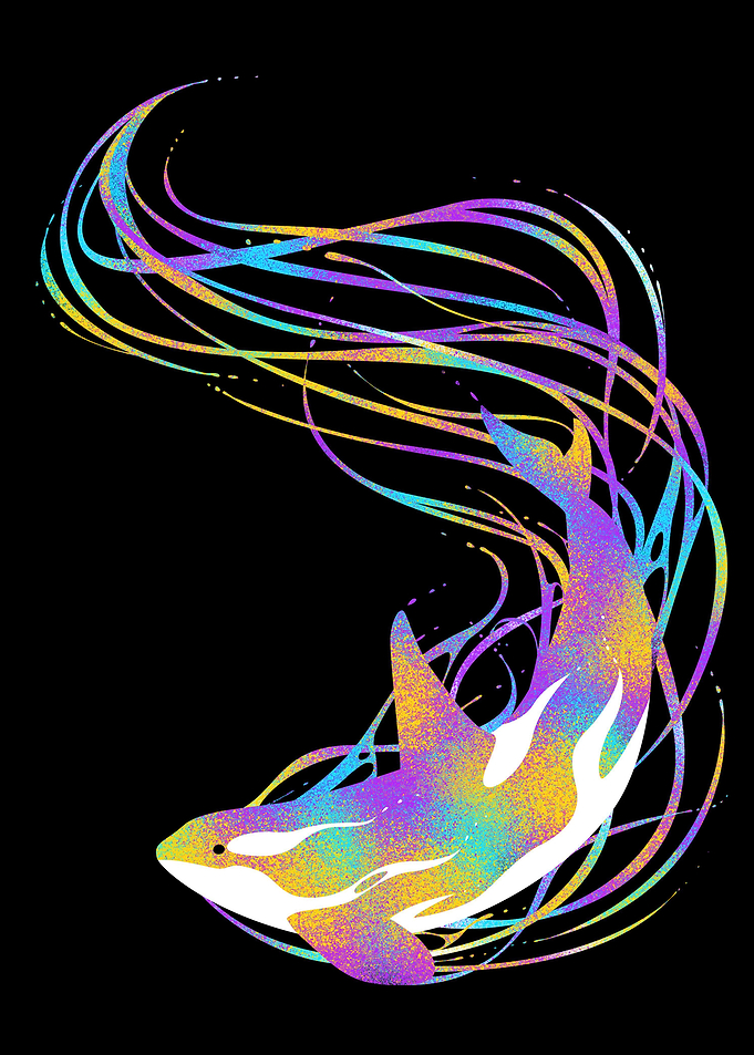 Killer Whale Colorful arti