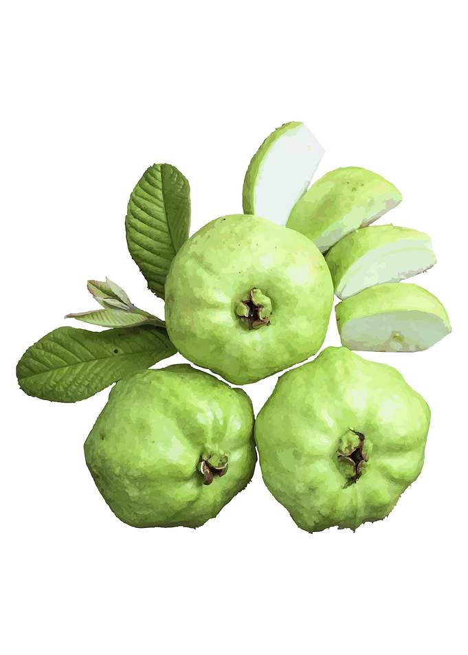 Guava