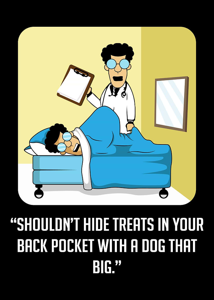 Treats Dog Doctor Dog Owne