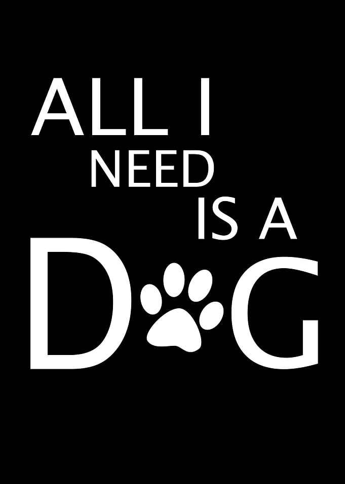 All I need is a dog