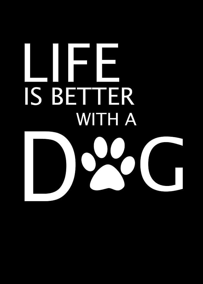Life is better with a dog