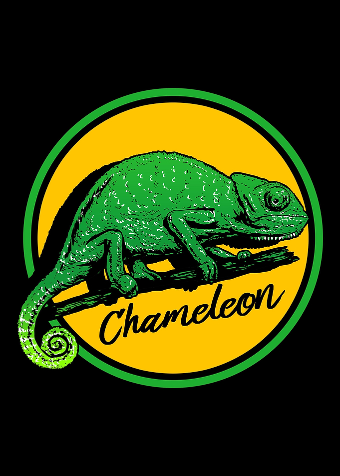Colorful Chameleon