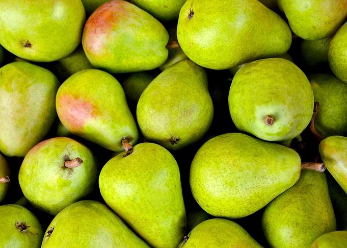 Pear Poster
