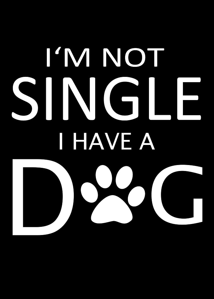 I have a dog