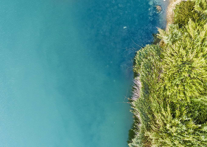 Sea