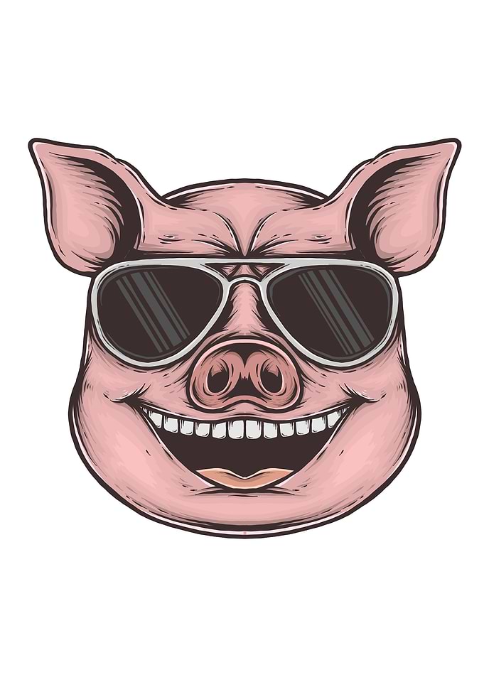 Pig